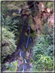 foto Cascate in Val Carazzagno